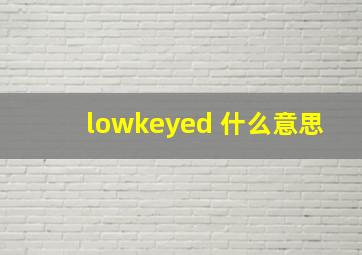 lowkeyed 什么意思